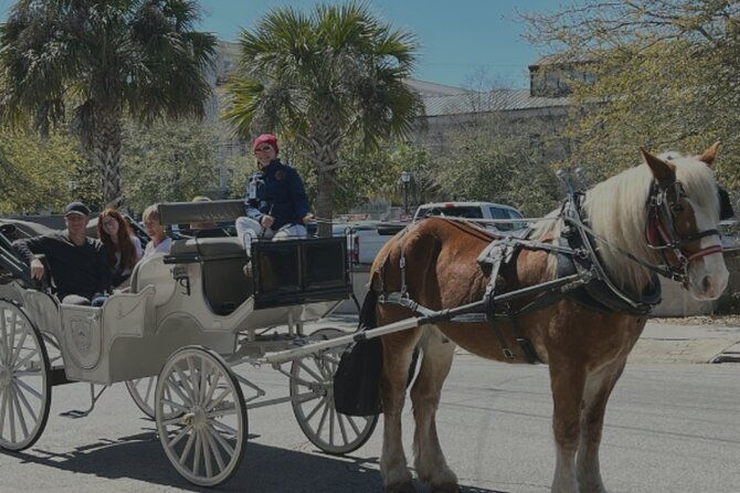 private-evening-historic-carriage-tour-in-charleston