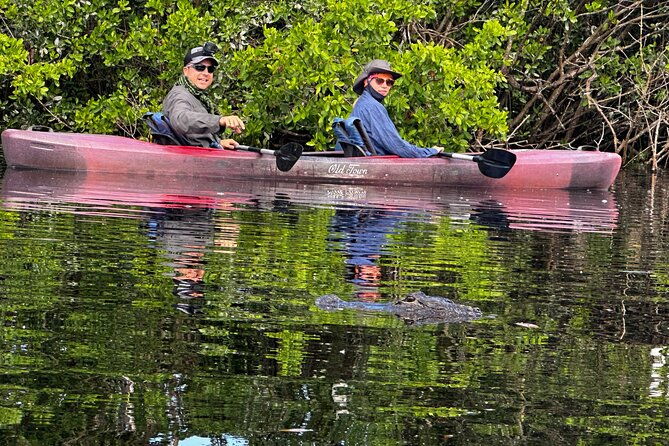 private-everglades-kayak-tour-see-the-real-everglades-with-us-2