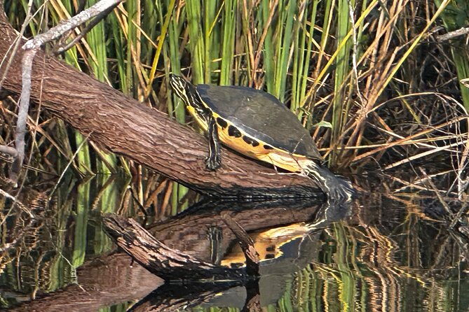 private-everglades-kayak-tour-see-the-real-everglades-with-us-2