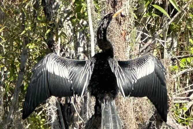 private-everglades-kayak-tour-see-the-real-everglades-with-us-2