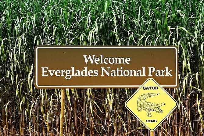 private-everglades-tour-explore-the-beauty-of-the-everglades