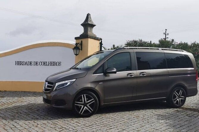 private-evora-tour-with-wine-experience-and-wine-tasting