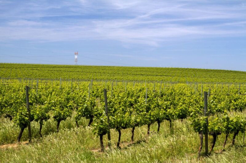 private-evora-world-heritage-tour-from-lisbon