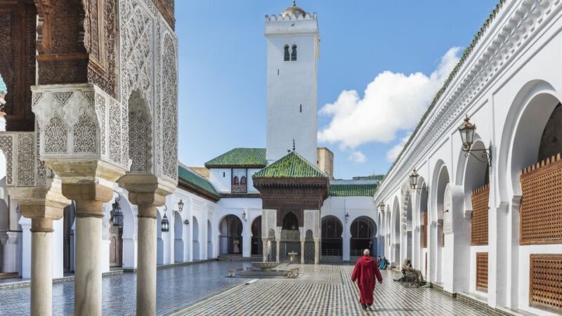 Private Exclusive Full day Fes Medina Tour with Guide - Exploring the Fes Medina: A Guide to the Private Full-Day Tour