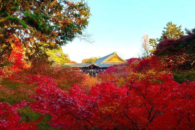 private-exclusive-kyoto-slow-cycling-tour-with-brompton