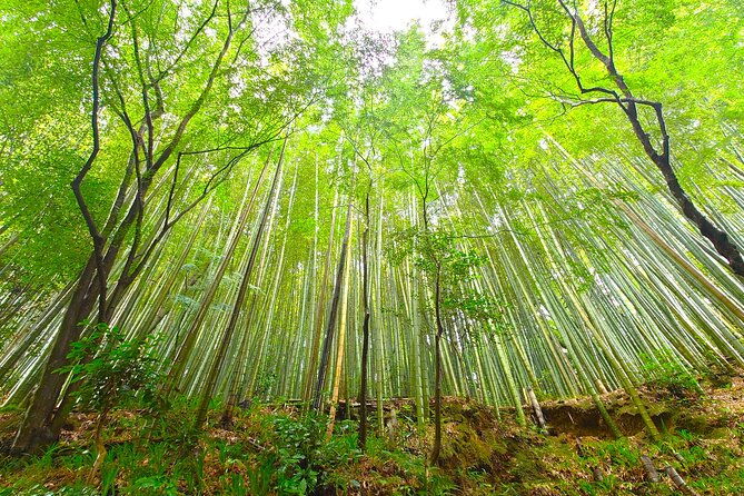 private-exclusive-kyoto-slow-cycling-tour-with-brompton