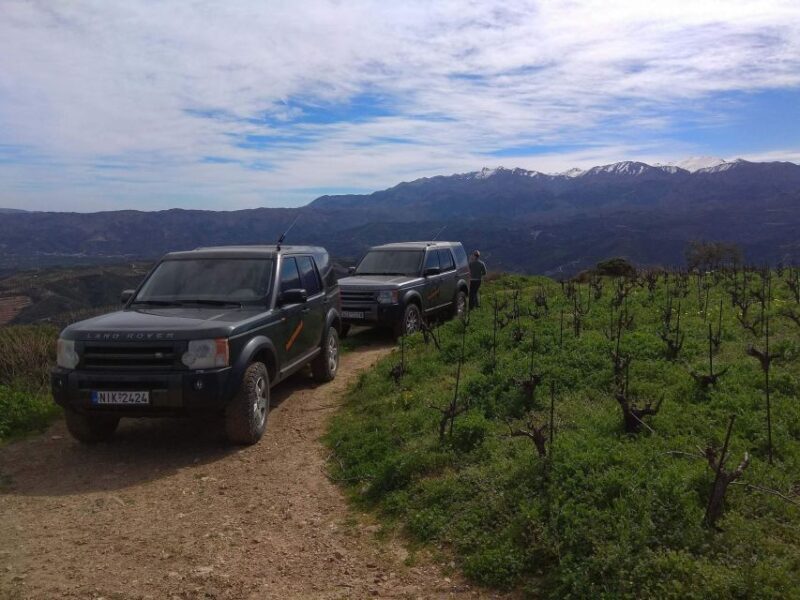 Private Exclusive Manousakis Winery and Vineyard Tour - A Journey of Scenic Beauty and Flavors