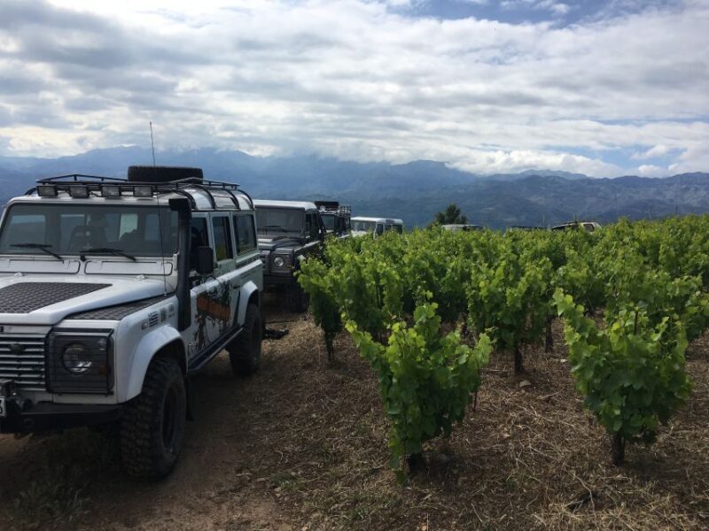 Private Exclusive Manousakis Winery and Vineyard Tour - Exploring the Heart of Crete: Vatolakos and Beyond