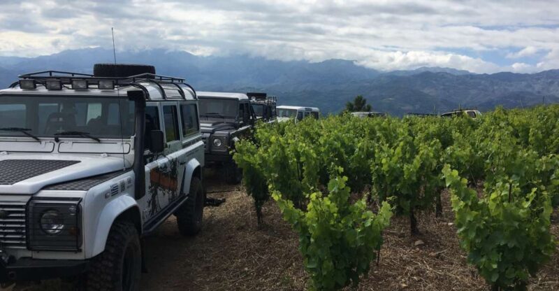 Private Exclusive Manousakis Winery and Vineyard Tour - Practical Considerations and What to Bring