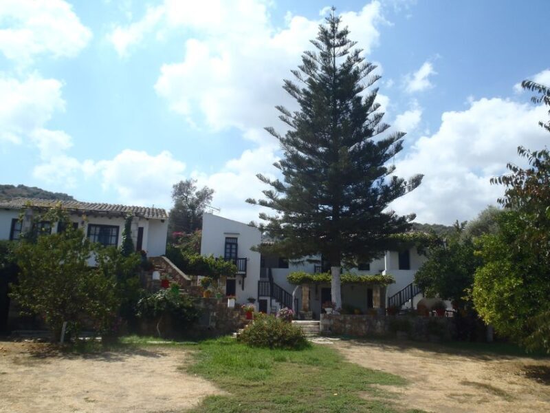 Private Exclusive Manousakis Winery and Vineyard Tour - Final Thoughts: Is This Tour Right for You?