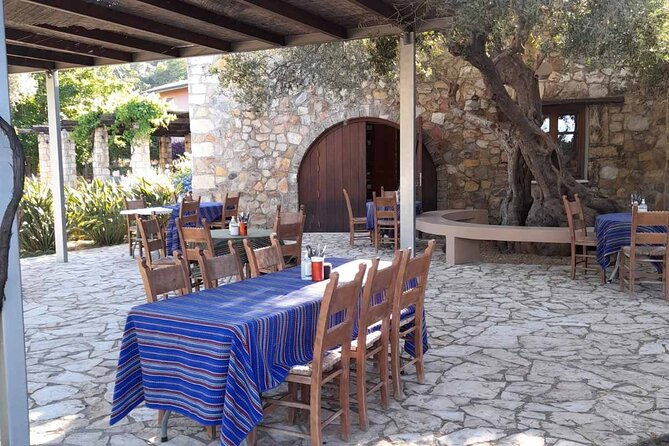 private-exclusive-manousakis-winery-and-vineyard-tour