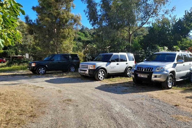 private-exclusive-manousakis-winery-and-vineyard-tour