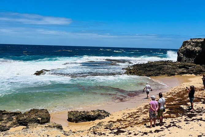 private-exclusive-scenic-views-tour-of-barbados-landscapes