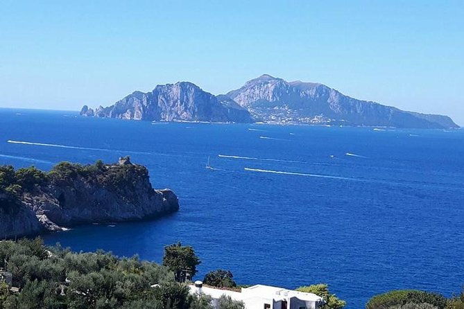 private-exclusive-tour-of-positano-sorrento-farmhouse-lunch