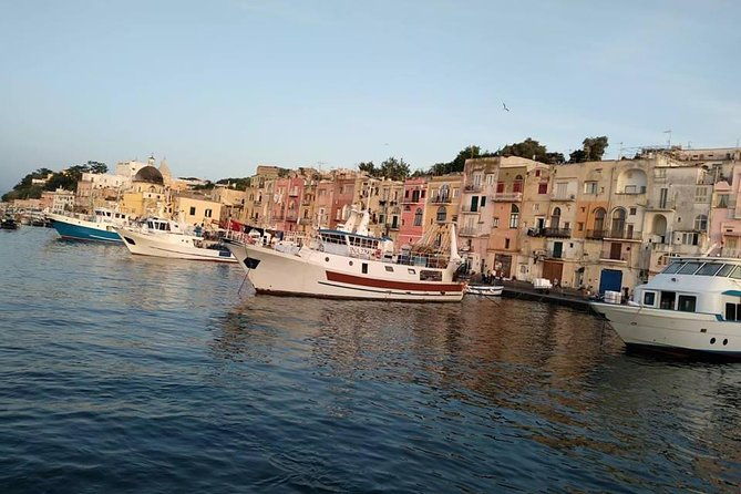 private-exclusive-tour-of-positano-sorrento-farmhouse-lunch