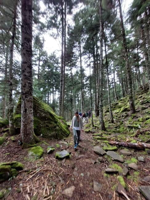 Private Excursion 2 Days: Athens - Nafpaktos & Mountainous Nafpaktia - Practical Details: What You Need to Know