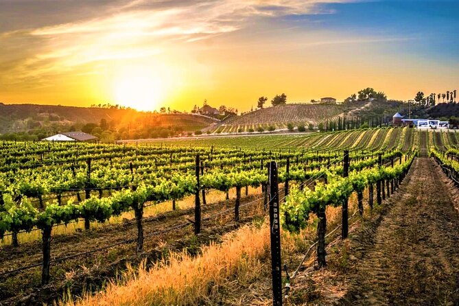 private-excursion-from-orange-county-including-lunch-tastings