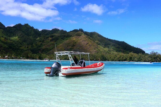 Private excursion Half day Moorea Discovery of the lagoon - Exploring Moorea’s Hidden Marine Treasures: A Deep Dive into the Half-Day Lagoon Discovery