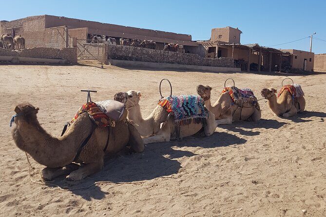 Private Excursion in the Agafay Desert - Key Points  
