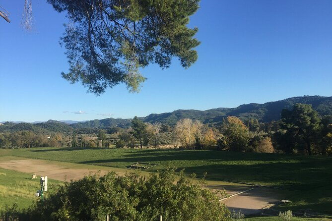 private-excursion-to-ancient-olympia-bee-farm-winery