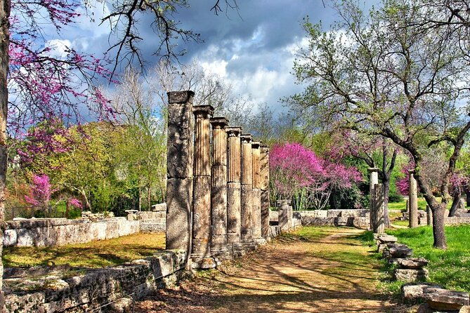 private-excursion-to-ancient-olympia-bee-farm-winery
