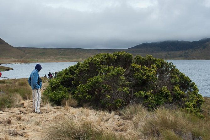 private-excursion-to-antisana-ecological-reserve