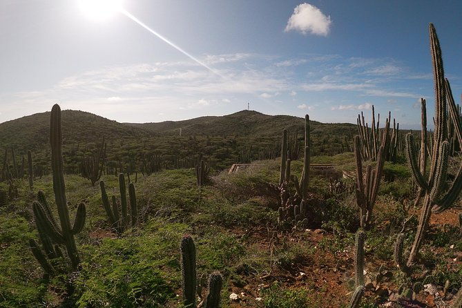 private-excursion-to-arubas-highest-point-pristine-coral-reef