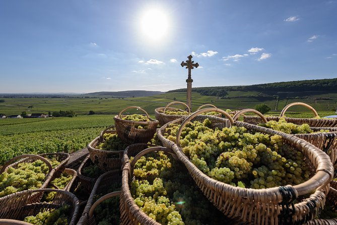 private-excursion-to-cote-de-beaune-and-cote-de-nuits-full-day