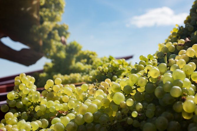 private-excursion-to-cote-de-beaune-and-cote-de-nuits-full-day