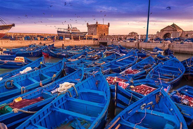 Private excursion to Essaouira, departure from Marrakech - Why This Tour Stands Out