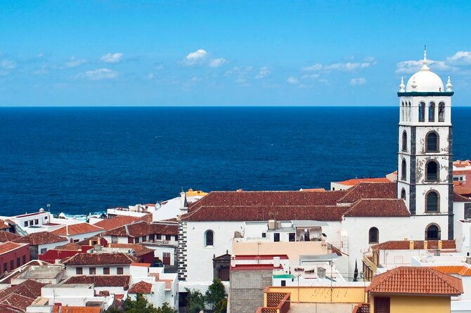 private-excursion-to-masca-garachico-icod-in-tenerife