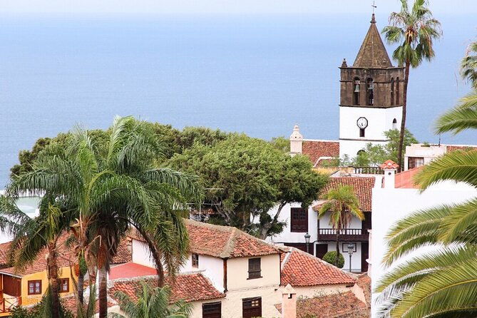 private-excursion-to-masca-garachico-icod-in-tenerife