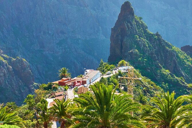 private-excursion-to-masca-garachico-icod-in-tenerife