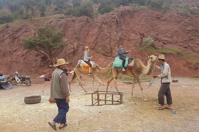 Private Excursion to Ourika Valley . - Who Would Love This Tour?