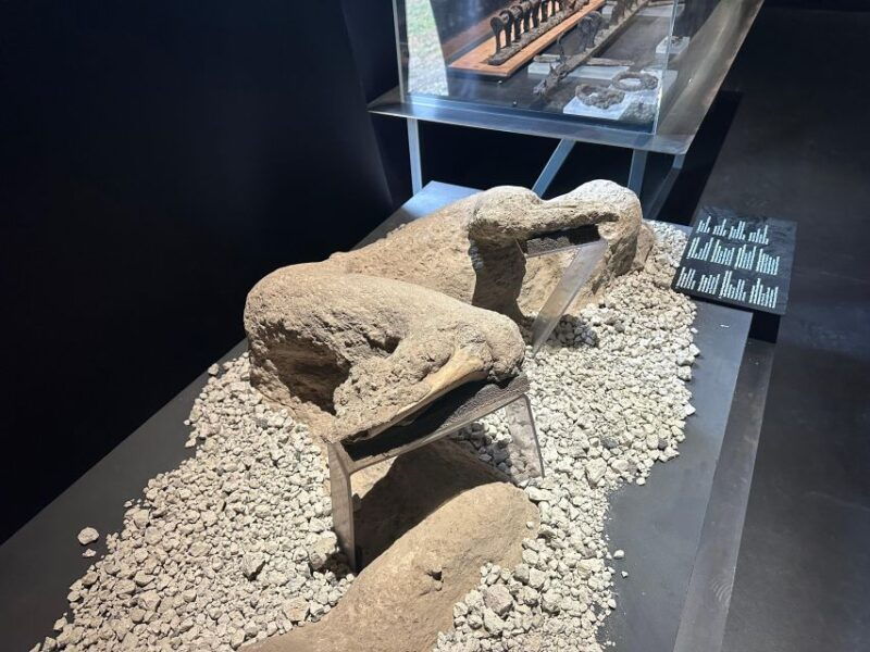 private-excursion-to-pompeii-and-to-vesuvius