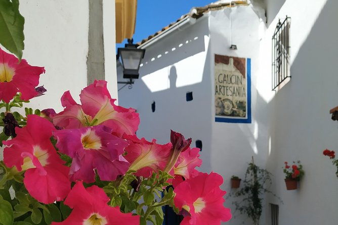 private-excursion-to-ronda-from-costa-del-sol-7-hours-2