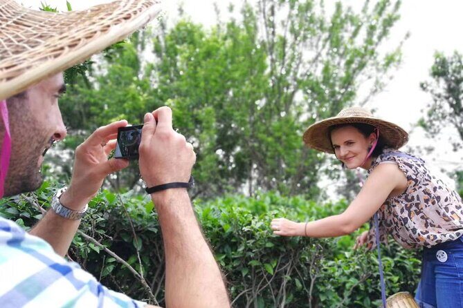 Private Excursion to Tea Village in Lost Town and Leshan Buddha - A Closer Look at the Itinerary