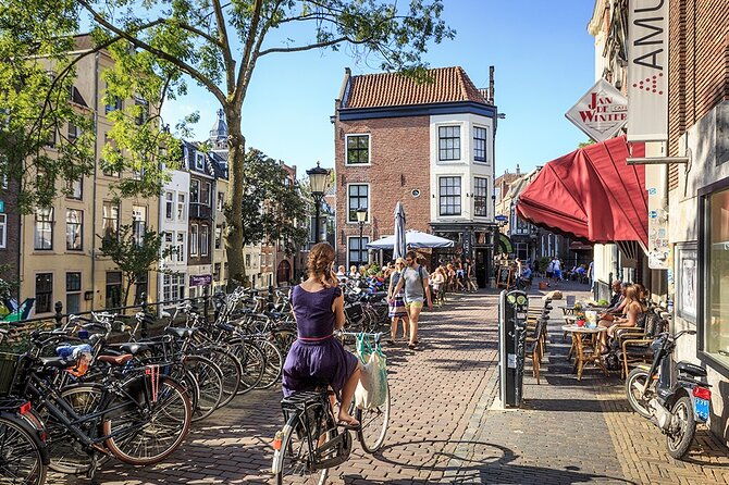 private-excursion-to-utrecht-and-haar-castle