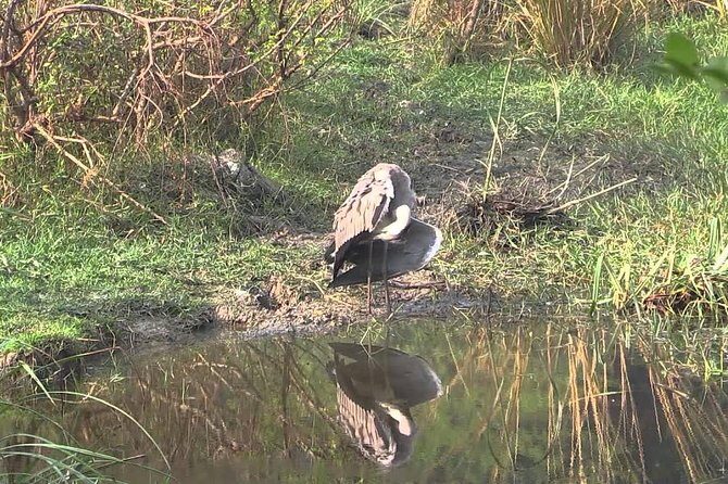 Private Excursion Trip to Bharatpur's Keoladeo National Park From Delhi - FAQ