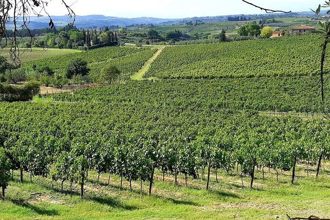 private-excursion-visit-siena-chianti-with-lunch-and-tastings