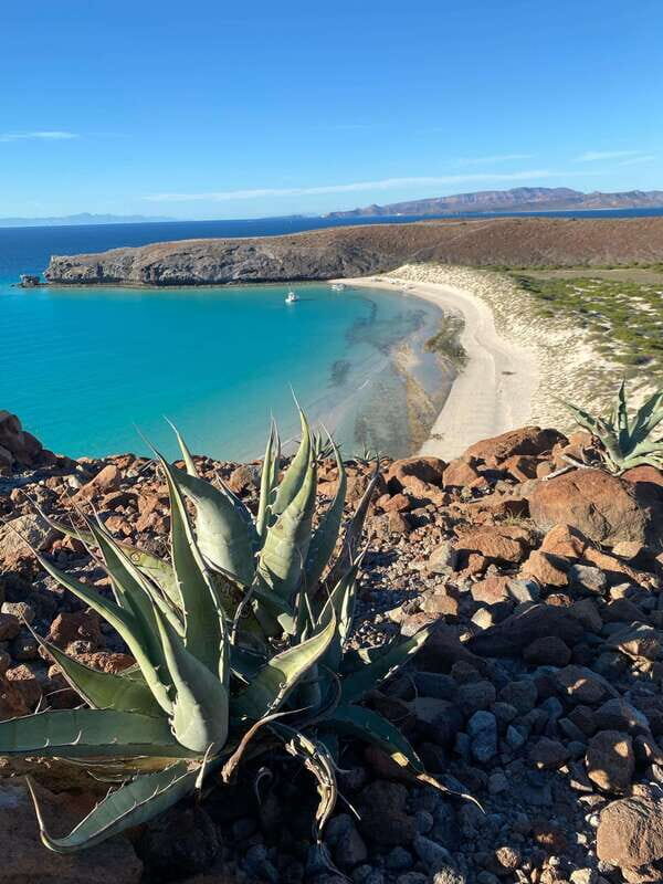 Private experience from Los Cabos to La Paz: (Balandra) - The Itinerary Breakdown