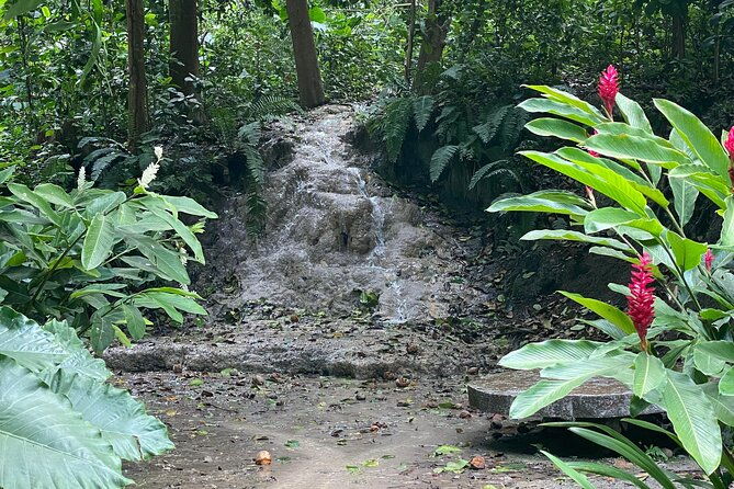private-experience-in-the-botanical-garden-with-transportation-included