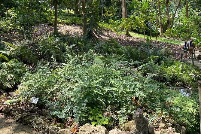 private-experience-in-the-botanical-garden-with-transportation-included