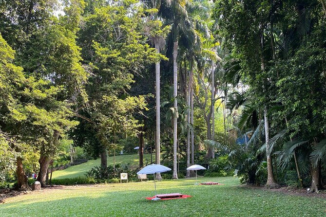 private-experience-in-the-botanical-garden-with-transportation-included