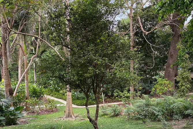 private-experience-in-the-botanical-garden-with-transportation-included