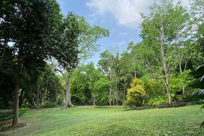 private-experience-in-the-botanical-garden-with-transportation-included