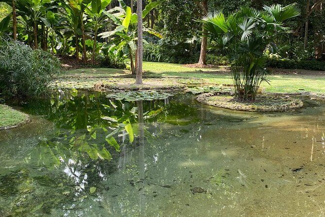 private-experience-in-the-botanical-garden-with-transportation-included