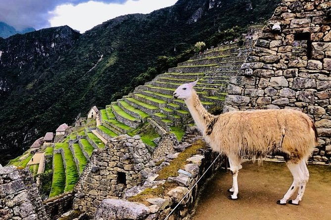 private-experience-to-machu-picchu-full-day-by-train