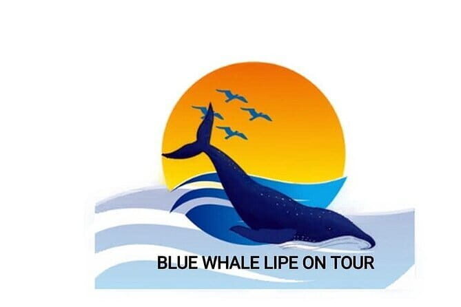 Private Experience with Fishing, Barbeque, Sashimi and Snorkeling - Key Points