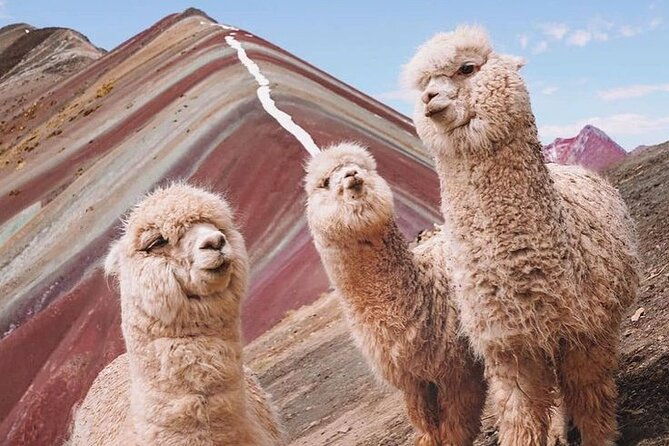 private-exploration-of-the-colored-mountain-on-horseback